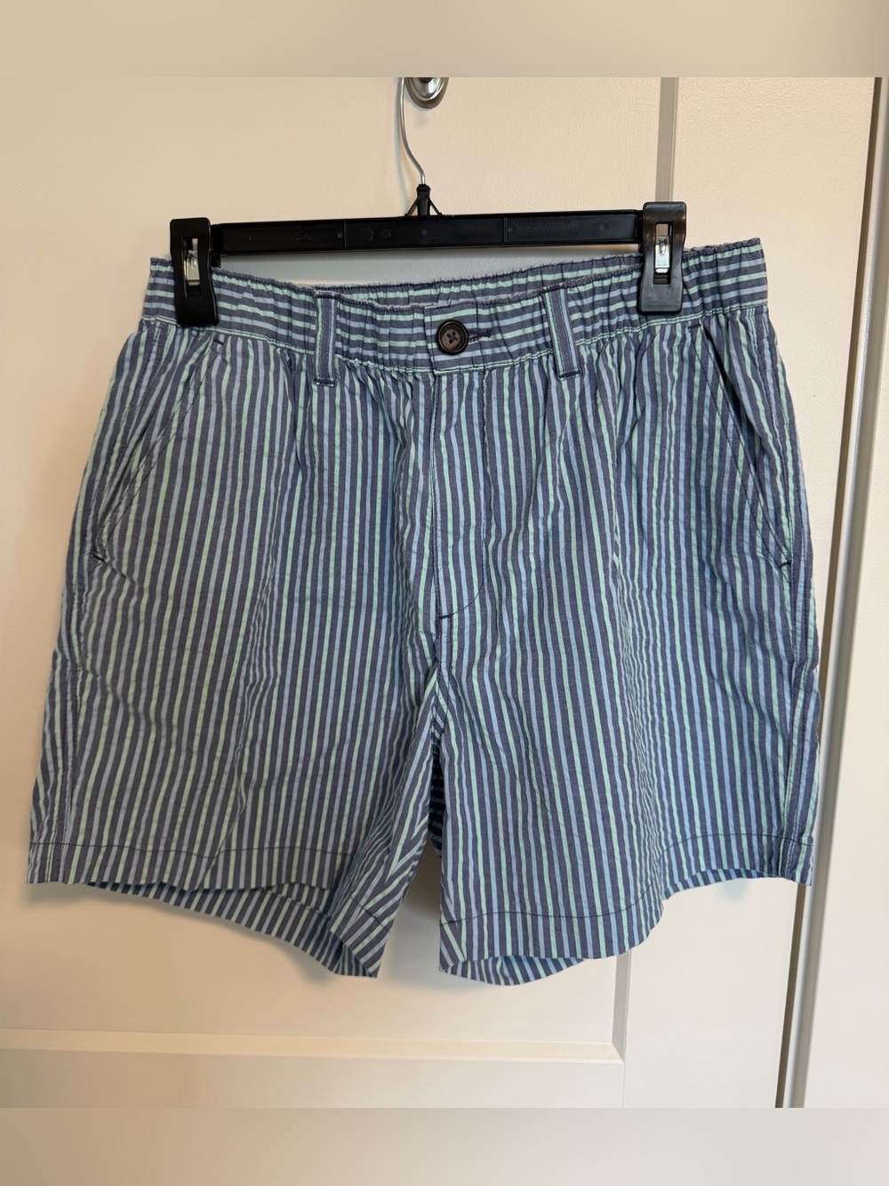Men’s 5.5” Inseam L Seersucker Flat Front Chubbies
